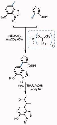 TOTALLY-SYNTHETIC_p038_Fig1_200