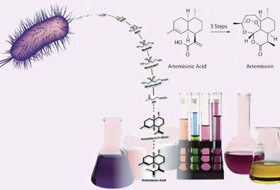 FEATURE-synthetic-biol-395