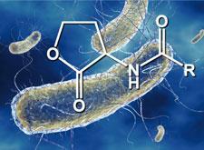 FEATURE-synthetic-biol-225