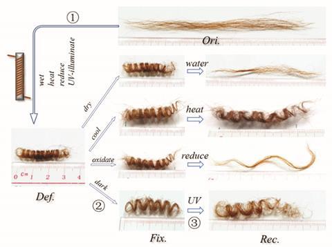 Camel hair as smart material