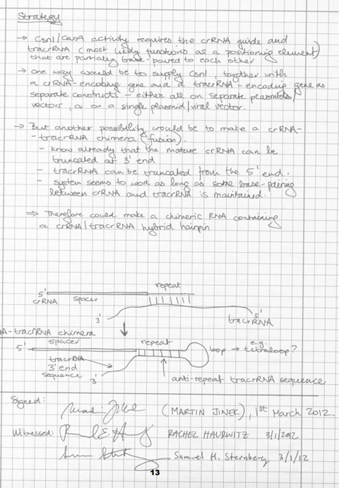 Martin Jinek’s lab book