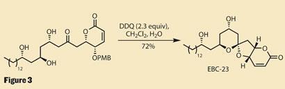 TOTALLY-SYNTHETIC-Fig3-410