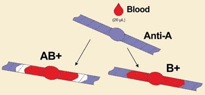 FEATURE-paper-diagnostics-410