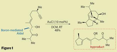 TOTALLY-SYNTHETIC-Fig-1-400