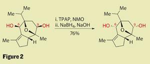 TOTALLY-SYNTHETIC-Fig-2-300