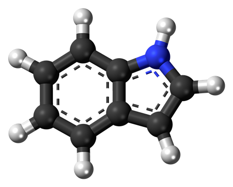 Indole (2-¹³C, 98%) - Cambridge Isotope Laboratories, CLM-1863-0.5