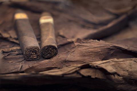 Cigars on tobacco leaves