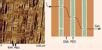 polymer-layers-400