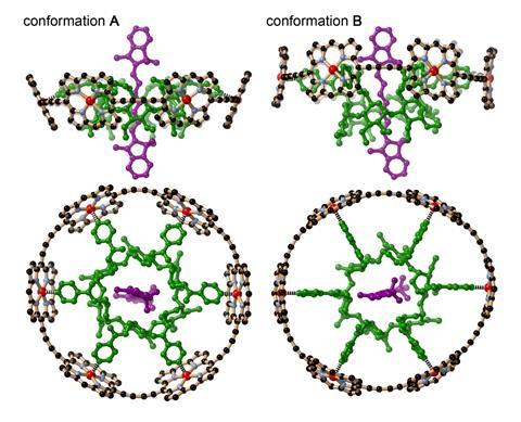An image showing two low-energy conformations of Cy7⊂c-P6·T6* from molecular mechanics calculations
