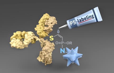 P5-labeling in the construction of an ADC