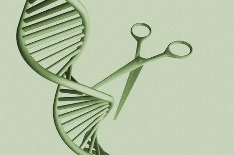 DNA editing