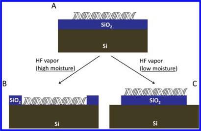 HF-DNA-etching_410