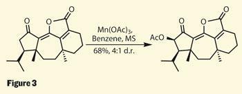 TOTALLY-SYNTHETIC-Fig-3-350