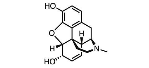 Morphine chemical structure