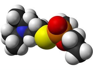 VX-nerve-agent-S-enantiomer-3D_300