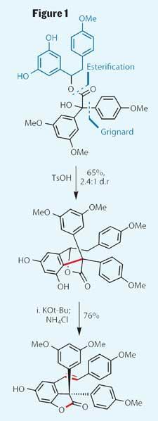 TOTALLY-SYNTHETIC-225