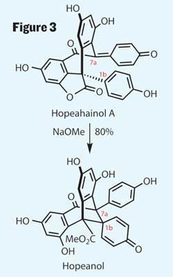 TOTALLY-SYNTHETIC-250