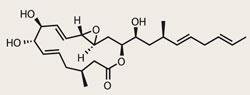 TOTALLY-SYNTHETIC-250