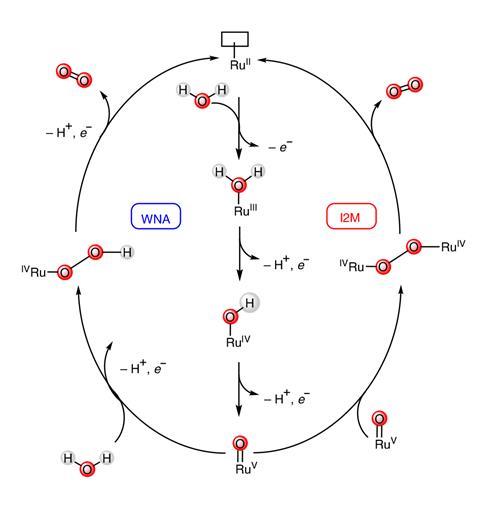 Catalytic cycle