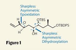 TOTALLY-SYNTHETIC-Fig1-250