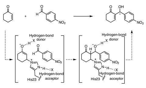 Chemical scheme of the MBH reaction