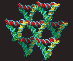DNA-triangles-250