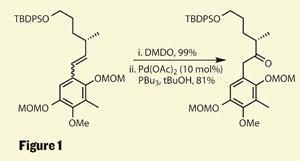 TOTALLY-SYNTHETIC-Fig1-300