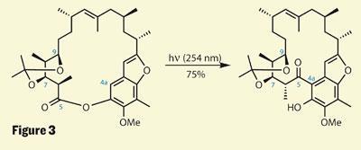 TOTALLY-SYNTHETIC-Fig3-400