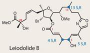 TOTALLY-SYNTHETIC-180