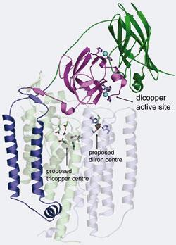 Figure1_250