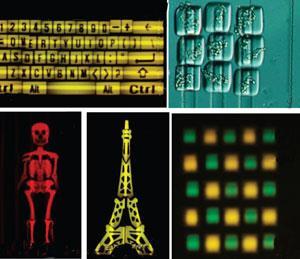 Microrail-microfluidics-300