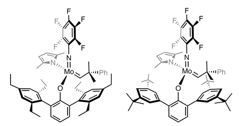 An image showing molybdenum-based monoaryloxide pyrrolide (MAP) complexes 