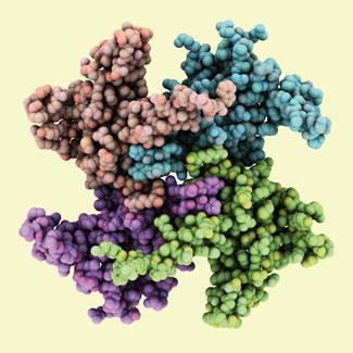 FEATURE-protein-denaturation-325