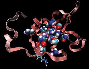 FEATURE-protein-denaturation-310