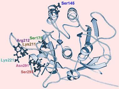 FEATURE-protein-denaturation-380