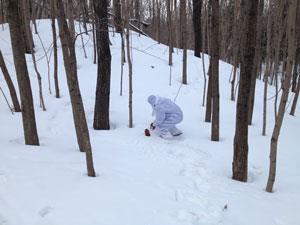 Resarcher collecting snow