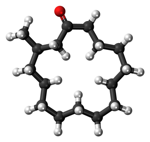 Muscone 3D structure