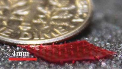 silk-microneedles-fig2v_410