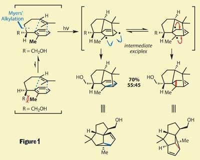 TOTALLY-SYNTHETIC-Fig1-400