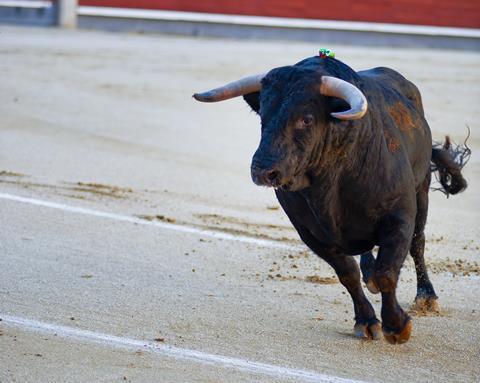 A bull in Plaza de Toros de las Ventas, Spain