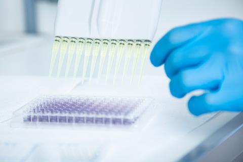 Hands using multi-pipette to fill a well plate