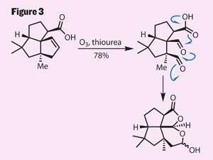 TOTALLY-SYNTHETIC-Fig3-300