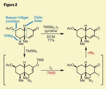 TOTALLY-SYNTHETIC-Fig-2-350