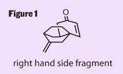 TOTALLY-SYNTHETIC-175-Fig1