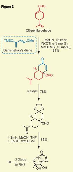 TOTALLY-SYNTHETIC-250-Fig2