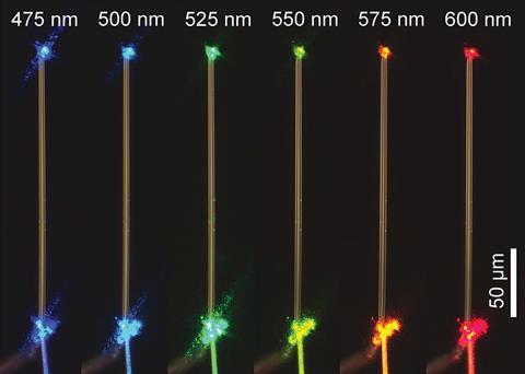 An image of six thin, yellow-white filaments laid out in parallel on a black background. Each filament has a bright point of light of a different colour at the top and bottom