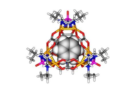 A picture showing a benzene molecule encapsulated within a charge-neutral tetrahedral cage