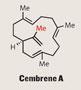 Cenbreme-A_81