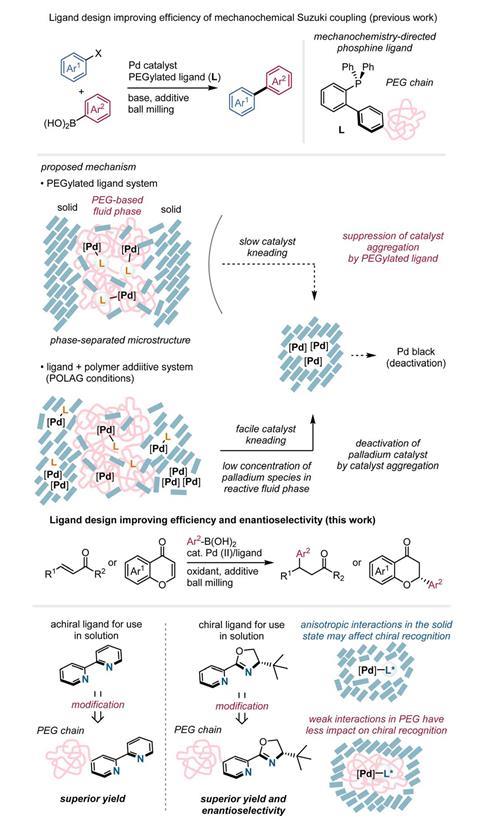 Scheme to show the development of mechanochemistry-directed ligands