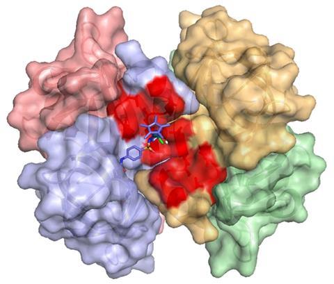  An artificial imine reductase whose activity has been optimised by means of directed evolution